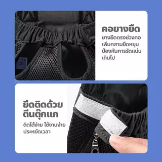 PETWELL กระเป๋าสะพายสัตว์เลี้ยง เป้ใส่แมว เป้สะพายหลังใส่สุนั สะพายได้ทั้งด้านหน้าและหลัง ปรับได้