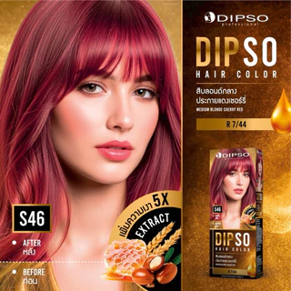 สีพิเศษสีใหม่ เบอร์ Sp19-S46 #ดิฟโซ่ #แฮร์ #คัลเลอร์ #ครีมเปลี่ยนสีผม #DIPSO #HAIR #COLOR 110 ml