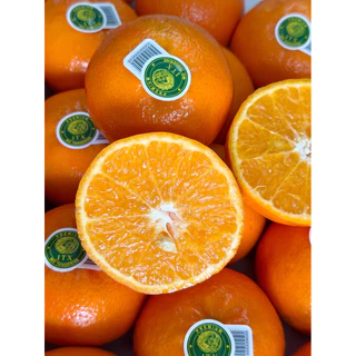 ส้มไต้หวันพรีเมียม 1 กิโลไซด์จัมโบ้ 🍊รับประกันสินค้า ฝากผู้ใหญ่ จัดกระเช้า ไหว้ สดพร้อมส่ง🔥กทม.จัดส่งด่วนได้รับภายใน4ชม.
