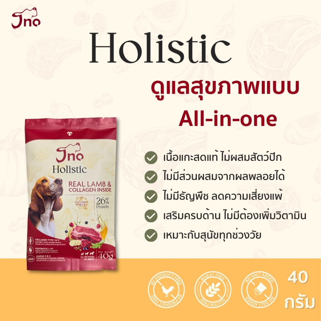 [ทดลอง 40 กรัม] Jno Holistic Real Lamb & Collagen inside อาหารเม็ดสุนัข โฮลิสติก สูตรเนื้อแกะ+คอลลาเจน ทุกช่วงวัย