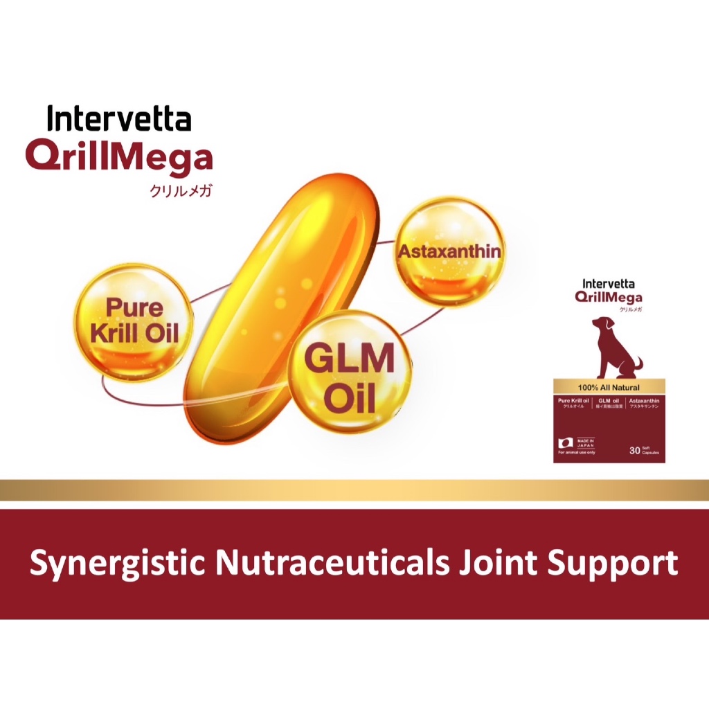 Intervetta QrillMega (คริลเมก้า) อาหารเสริมบำรุงข้อต่อ ลดอักเสบ บรรเทาปวด สำหรับสุนัขและแมว แบ่งแผง-ยกกล่อง ราคา ถูกที่สุด ดีลบีเคเค แกลเลอรีภาพที่ 2