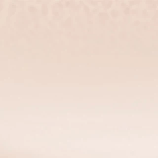 L'OREAL - Infaillible Fresh Wear Cushion (11g.) ลอรีอัล ปารีส อินเฟลลิเบิล 24เอช พาวเวอร์ โกลว์ ลูส พาวเดอร์ อิน เมช