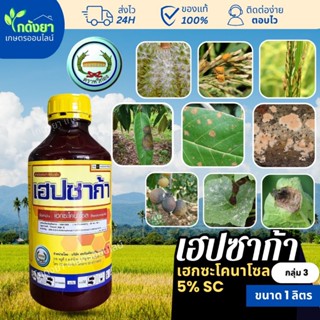 [หวีทอง] เฮปซาก้า 1L ยาเชื้อรา เฮกซะโคนาโซล ตราหวีทอง