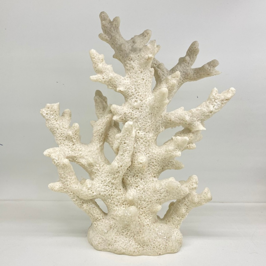 ปะการัง ปะการังตกแต่ง ปะการังเทียม เหมือนจริง แต่งบ้านสไตล์ทะเล พร็อพทะเล พร็อพแต่งบ้าน พร็อพถ่ายรูป