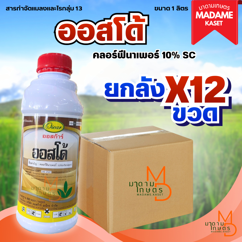 ยกลัง x12 ขวด**จำกัดออเดอร์ละ 1 ลัง** | ออสโด้ (คลอร์ฟีนาเพอร์) 10% SC ครบจบในขวดเดียว หนอน เพลี้ยไฟ ไรแดง สูตรเย็น ชนิด