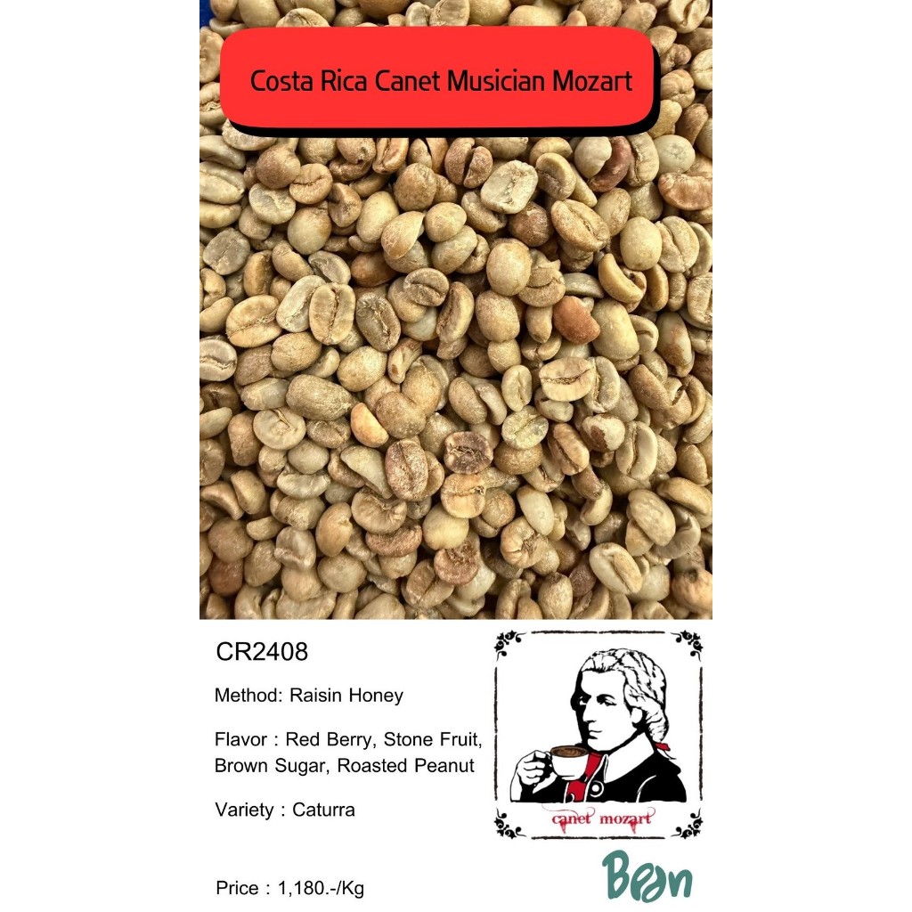 CR2408  Canet Musician Mozart