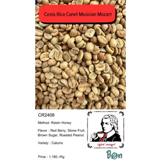 CR2408  Canet Musician Mozart