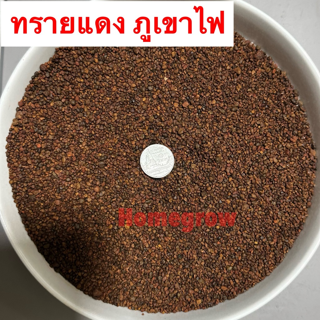 ทรายภูเขาไฟ แดง น้ำตาลแดง สีแดง ตู้ปลาช่อน ตู้ปลา รองพื้นตู้ โรยกระถาง คลุมหน้าดิน