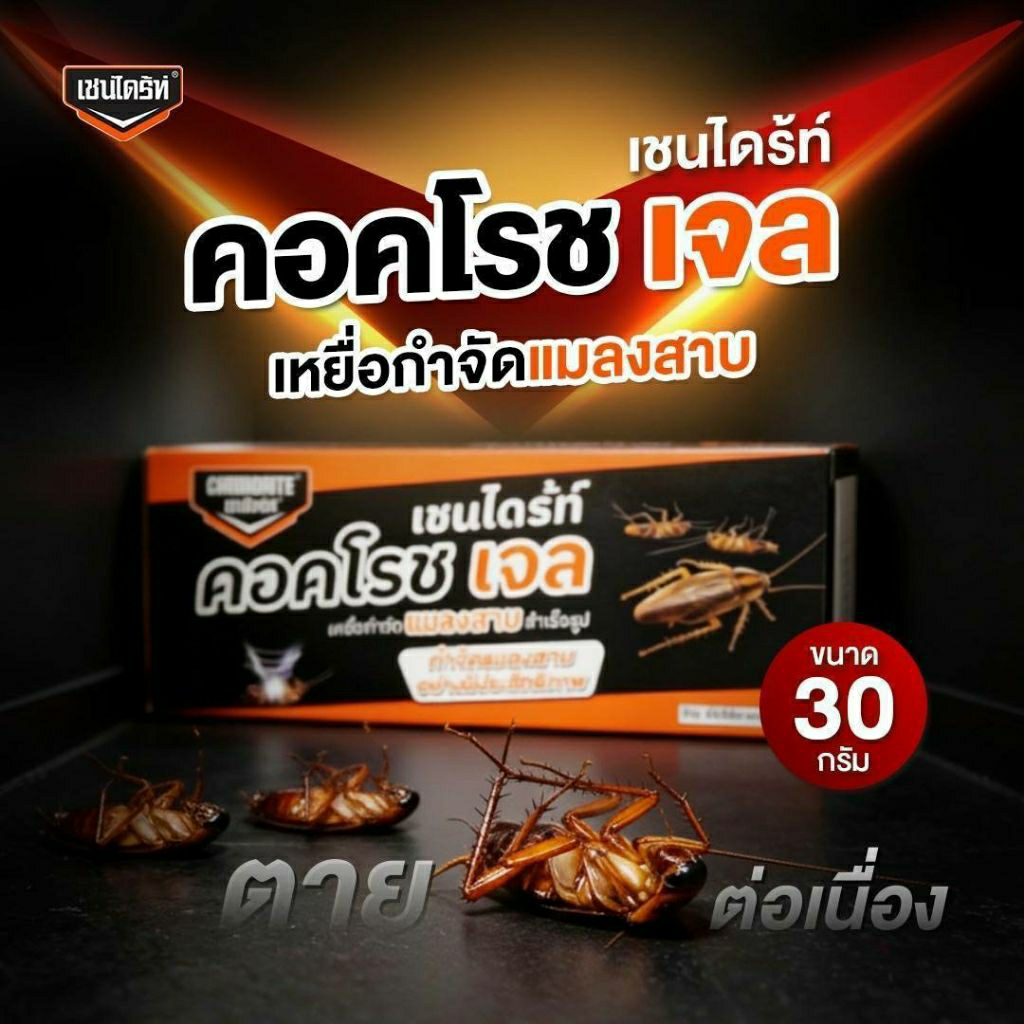 [มี อย.]เชนไดร้ท์ เจล กำจัดแมลงสาบ คอคโรชเจล ขนาด 30 กรัม Cockroach Gel เหยื่อกำจัดแมลงสาบสำเร็จรูป ยาเหยื่อแมลงสาบ
