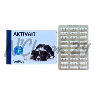 AKTIVAIT Medium & Large Breed( วิตามินบำรุงสมองและระบบประสาท สำหรับสุนัข บรรจุ 60 แคปซูล