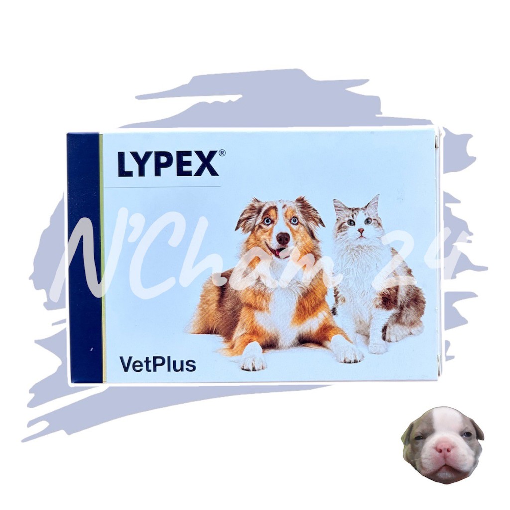 Vetplus Lypex (Exp.07/2027) (แพ็คเกจใหม่)ไลเป็กซ์ สำหรับสุนัข-แมว บรรจุ 60 caps