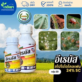 อีเรบัส สไปโรไดโคลเฟน 24% SC กำจัดไร ไรแดง ไรขาว ไรทุกชนิด
