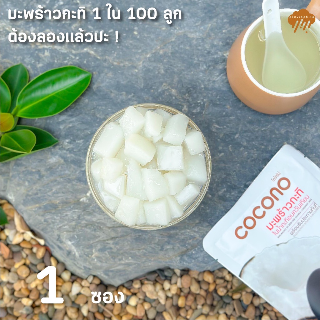 COCONO มะพร้าวกะทิ มาพร้อมกะทิในซองพร้อมทาน 1 ซอง