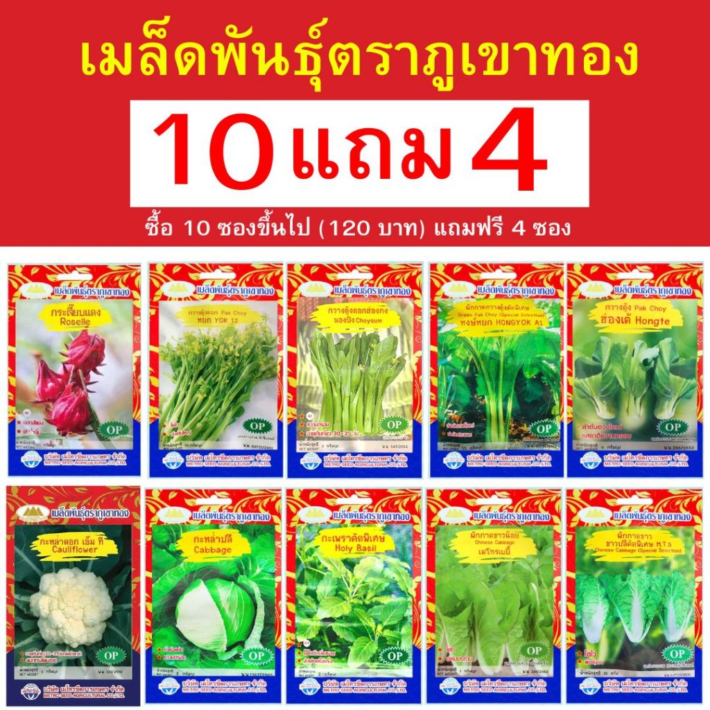 เมล็ดพันธุ์ ผักสวนครัว ภูเขาทอง OP ซื้อ 10 ซอง (120 บาท) ขึ้นไปแถมฟรี 4 ซอง