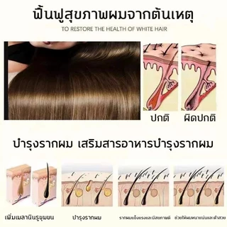 [ของแท้] SAFEMILD แชมพูปิดผมขาวสมุนไพร บำรุงผมอย่างอ่อนโยน ป้องกันผมร่วง ส่งเสริมผมใหม่