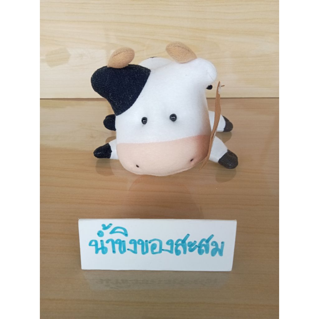 ตุ๊กตาวัว พรีเมี่ยม ฟาร์มโชคชัย "FARM CHOKCHAI"ขนาด : 7 นิ้ว***สินค้ามือสอง อาจมีตำหนิ หรือรอยเปื้อน