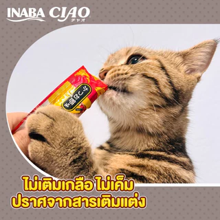 [แมวเลีย50 ซอง] CIAO Chi-ru เชา ขนมแมวเลีย เชาว์ แมวกวัก ชูหรุ ครีมแมวเลีย ทุกช่วงวัย ไม่เติมเกลือ