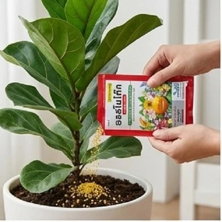 ปุ๋ยออสโมโค้ท (Osmocote) ปุ๋ยละลายช้า ขนาด 100g มี 2 สูตร (บำรุงต้น 3 เดือน)