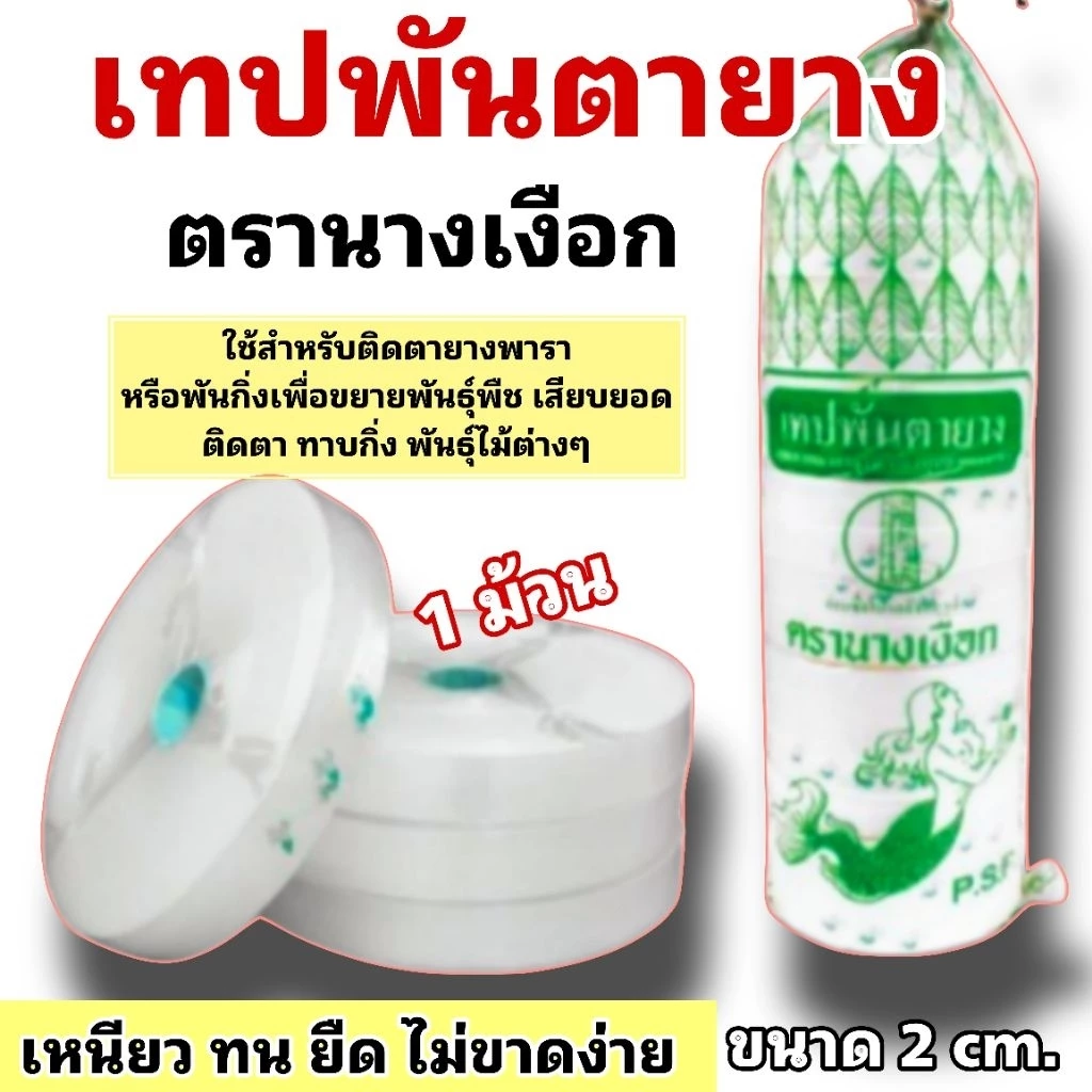 เทปพันตายาง ตรานางเงือก ใช้สำหรับติดตายางพารา เหนียว ทน ไม่ขาดง่าย ขนาด 2 cm. (จำนวน 1 ม้วน/5 ม้วน)