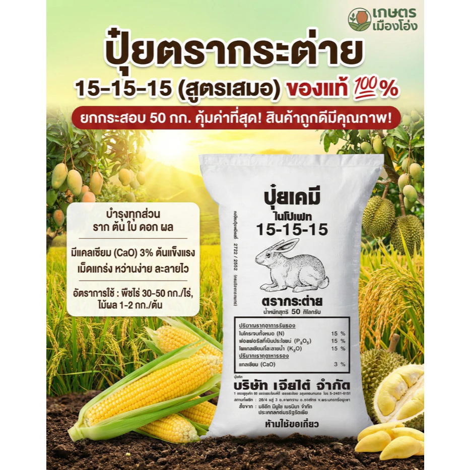 ยกกระสอบ50กก ปุ๋ยเคมีสูตรเสมอ 15-15-15 ตรากระต่าย ยประกอบด้วยธาตุอาหารหลักและธาตุอาหารรองได้แก่ แคลเซียม (Ca) สัดส่วน 3%