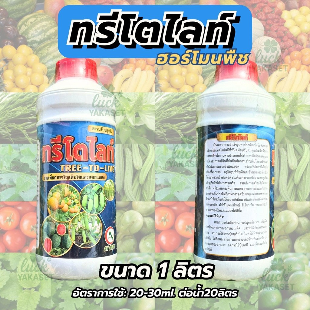 ทรีโตไลท์  AV AGRO 1 ลิตร ฮอร์โมนพืชสูตรเข้มข้น เร่งโต แตกแขนง บำรุงต้น ราคา ถูกที่สุด ดีลบีเคเค แกลเลอรีภาพที่ 2