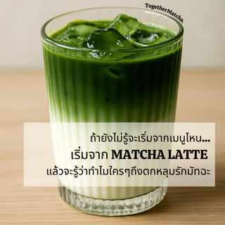 ขายส่ง 250G. มัทฉะโทนถั่ว เกรดพรีเมี่ยม มัทฉะแท้ นำเข้าจากญี่ปุ่น