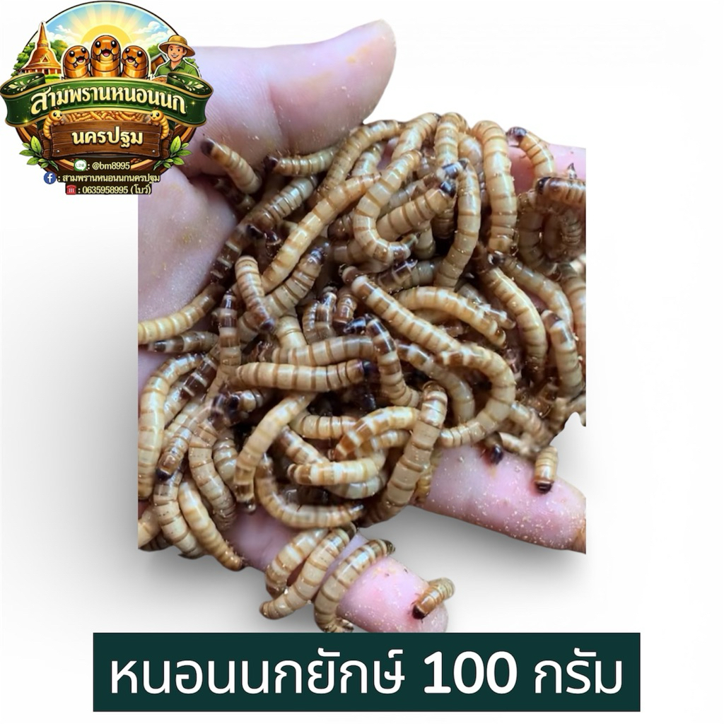 ห นอน นกยักษ์สด อาหารโปรตีนสูงสำหรับสัตว์เลี้ยง บรรจุ 100 กรัม จำนวน 1 แพ็ค