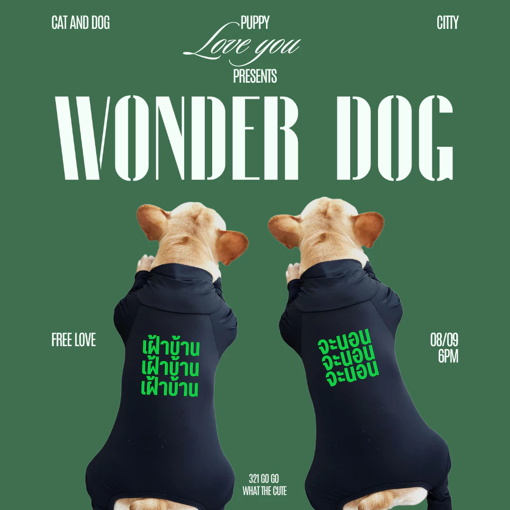 ชุดเก็บขน wonder dog เสื้อสุนัข เสื้อแมว ชุดกันขนร่วงสุนัข ชุดสัตว์เลี้ยง ลายจะนอน