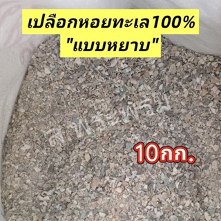 เปลือกหอยทะเล เปลือกหอยหยาบ แคลเซียมสูง 10กก.