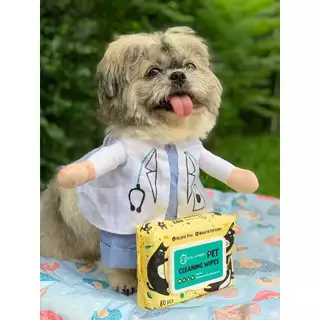 (1 แพค/80 แผ่น) SUN WONDER PET WET CLEANSING WIPES ทิชชู่เปียกสำหรับสัตว์เลี้ยง