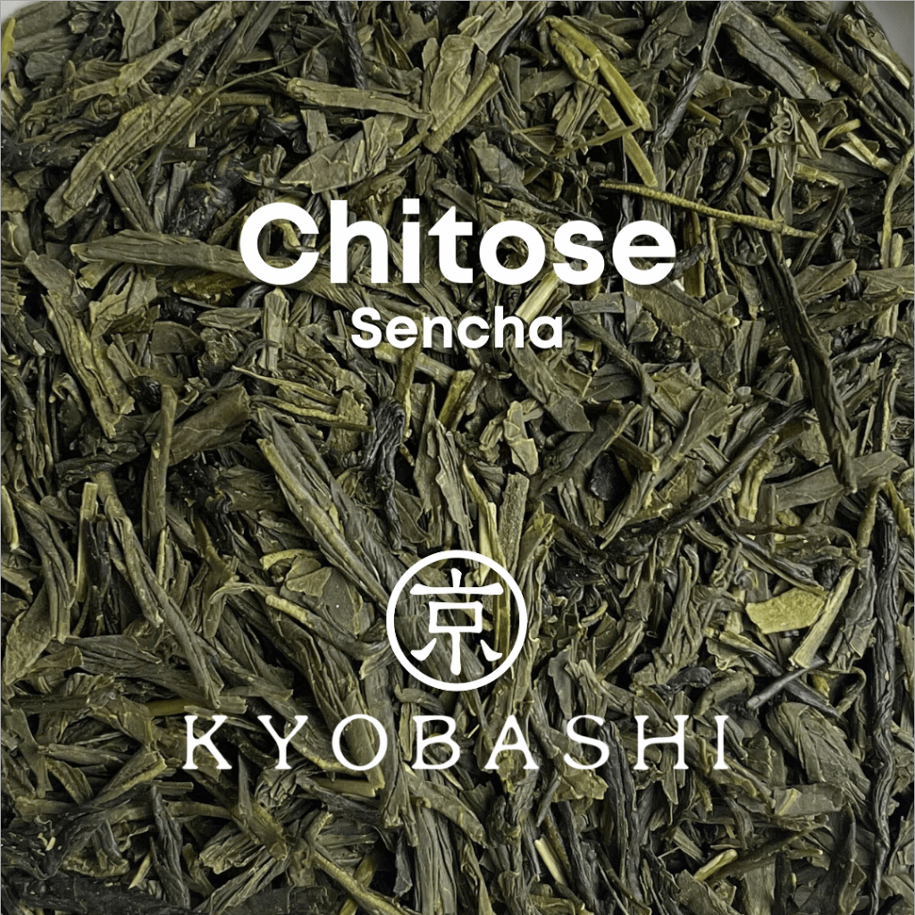 KYOBASHI - SENCHA ชาเขียว เซนฉะ จิโตะเสะ 煎茶 千歳 Chitose