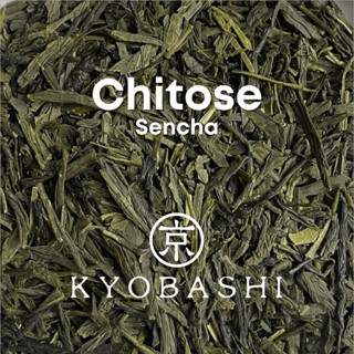 KYOBASHI - SENCHA ชาเขียว เซนฉะ จิโตะเสะ 煎茶 千歳 Chitose