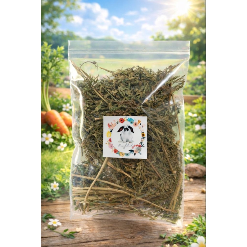 ใบแครอทอบแห้ง (50 กรัม) Carrot Leaves หญ้าสำหรับสัตว์ฟันแทะ