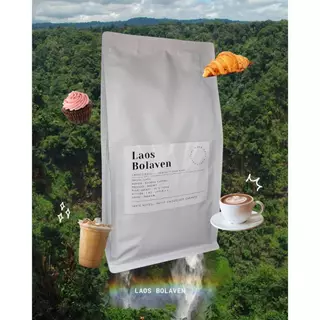 กาแฟลาวโบลาเวน Bolaven, เมล็ดกาแฟคั่วเกรดAA อาราบิก้า คั่วกลางค่อนเข้ม,Premium+,Laos Bolaven Arabica, MediumtoDark Roast