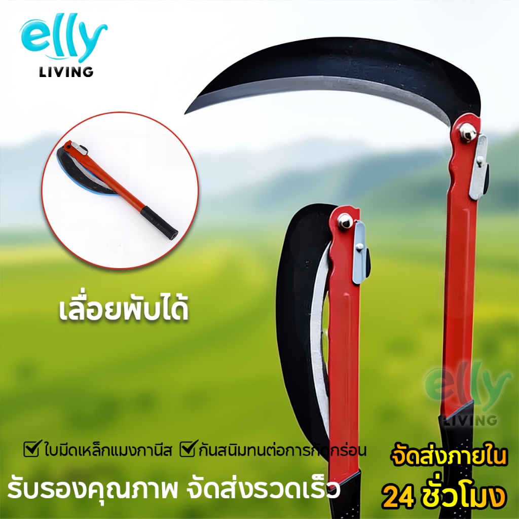 เคียวแมงกานีส เคียวพับได้ ใบมีดคมกริบ ใช้เกี่ยวข้าว ถางหญ้า ใบมีดโค้ง แข็งแรง ทนทาน จับถนัดมือ เครื่องมือการเกษตร