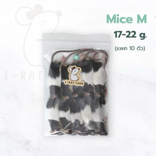 หนูแช่แข็ง Mice NB–XXL แพค 10 ตัว | E-Rat Farm อาหารงูขายมานาน7 ปี