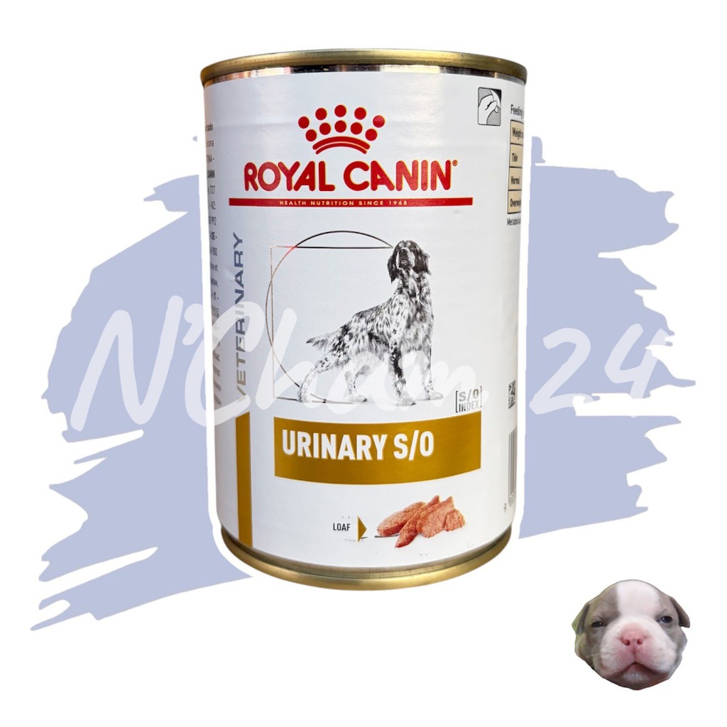 โปรดอ่านก่อนสั่ง Royal Canin Urinary S/O Canned 410 g 1 กระป๋อง อาหารสุนัข โรคนิ่ว
