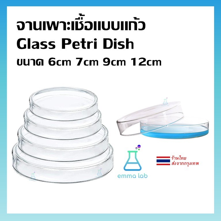 จานเพาะเชื้อแบบแก้ว plate ( Petri Dish ) ช่องเดียว ขนาด 6cm 7.5cm 9cm