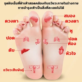 แผ่นแปะเท้า ยาวนานถึง 8 ชั่วโมง สมุนไพรแปะฝ่าเท้า ช่วยหลับสบาย แผ่นแปะฝ่าเท้า บรรเทาอาการปวด