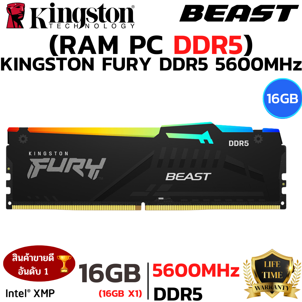 RAM 16GB (16GBx1) DDR5 5600MHz RAM (หน่วยความจำ) KINGSTON FURY BEAST DDR5 RGB AMD EXPO INTEL XMP CL3