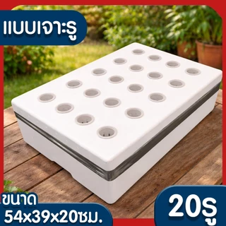 *โค้ดส่งฟรี* กล่องโฟมปลูกผัก กล่องโฟม ลังโฟม ปลูกผักไฮโดร กล่องใส่กุ้ง กล่องลังโฟม กล่องกุ้ง 10กก ไฮโดรโปนิกซ์ clearance