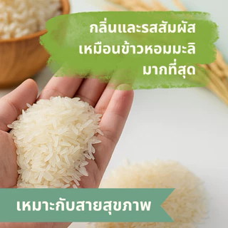 ข้าวบุกหอมมะลิ 1 กิโล