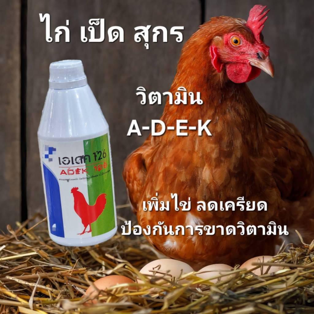 เอเดค 126 ADEK126 วิตามินน้ำสีแดง ไก่ เป็ด สุกร 500มล.