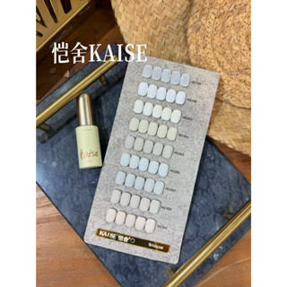 KAISE 9 สี  สีสวย ทาง่าย แถมฟรี ชาร์จสี