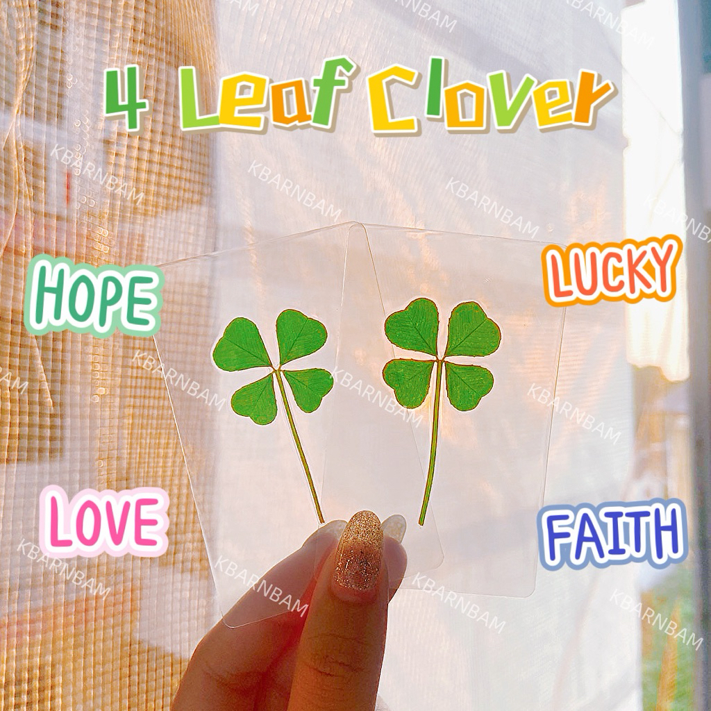 ส่ง 20 เมย🍀🇰🇷การ์ดใบโคลเวอร์ Leaf Clover ของแท้ จากเกาหลี