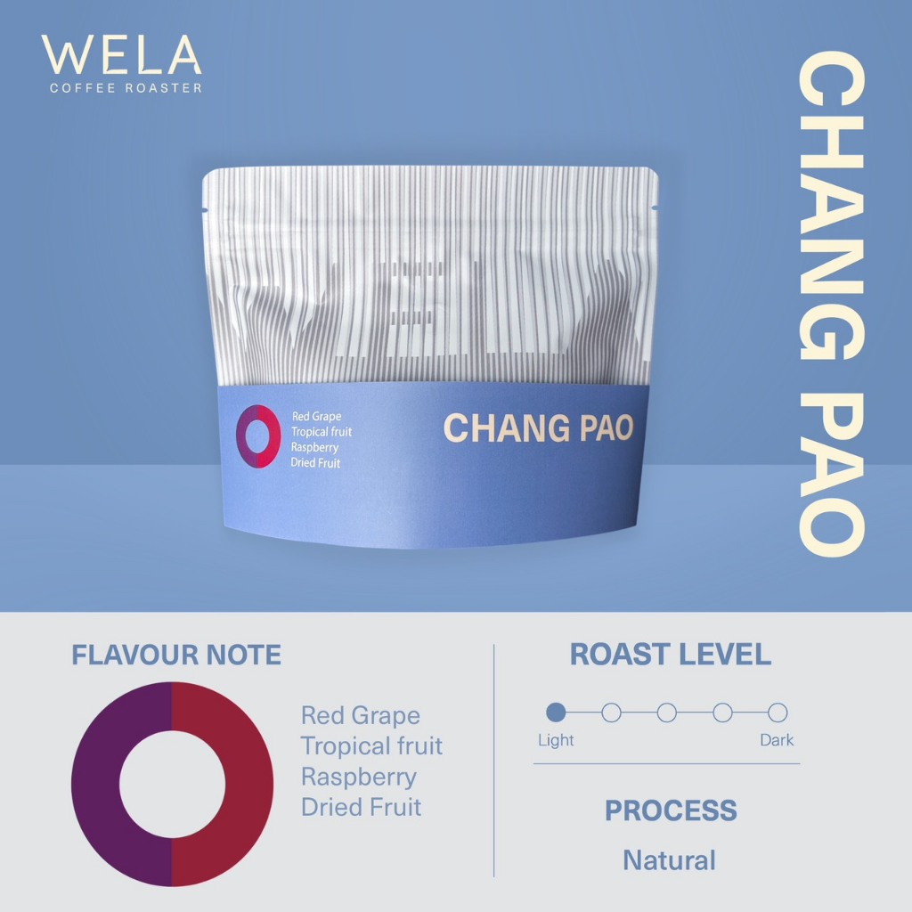 เมล็ดกาแฟคั่ว Chang Pao, Natural Process, Light Roast