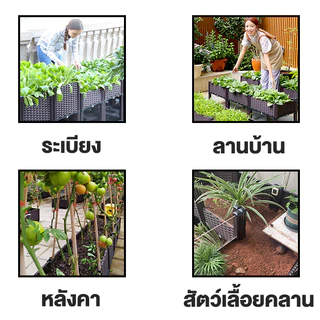 กระถางต้นไม้ กระบะปลูกผัก วัสดุ PP การเก็บน้ำอัจฉริยะ ลานบ้าน ระเบียง หลังคา กระถางปลูกพืช
