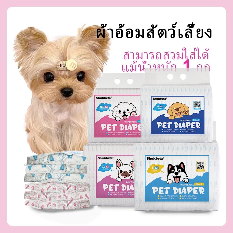 ผ้าอ้อมสุนัข แบบใช้แล้วทิ้ง ชายและหญิง ชุดอุปกรณ์สำหรับสัตว์เลี้ยง