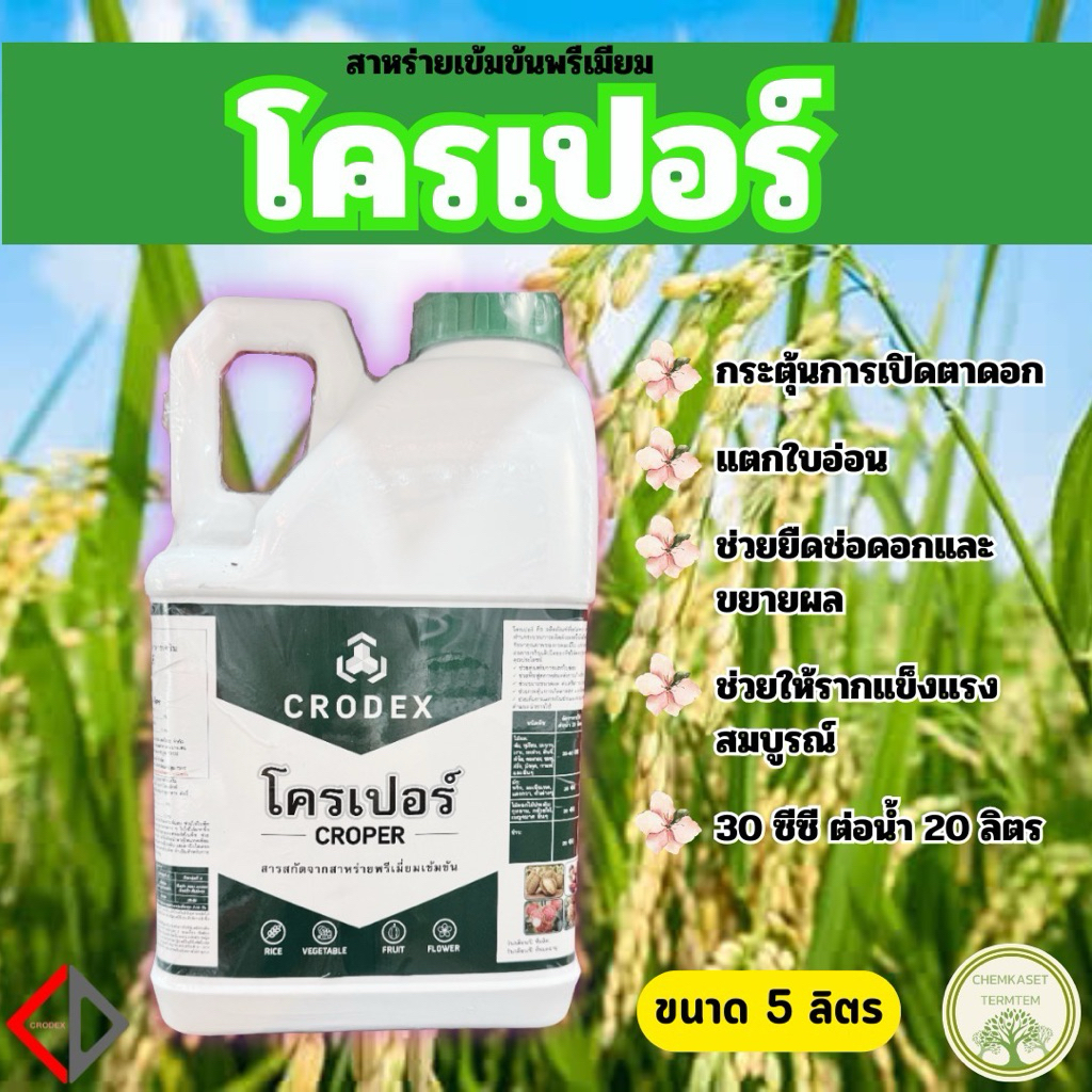 โครเปอร์ 5ลิตร(แกลลอน) ฮอร์โมนพืชสาหร่ายเขียว ช่วยการติดดอก ออกผล แตกยอด เพิ่มราก ฉีดได้ในพืชทุกชนิด