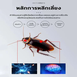 ซื้อ 1 แถม 1 ❗️ซื้อ 4 แถม 6🪳NANA ไล่แมลงสาบ ยากำจัดแมลงสาบ กำจัดแมลงสาบ เจลหอมกำจัดแมลงสาป สูตรเยอรมัน